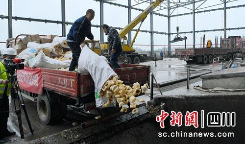 四川整治食品安全公开销毁42吨涉案食品